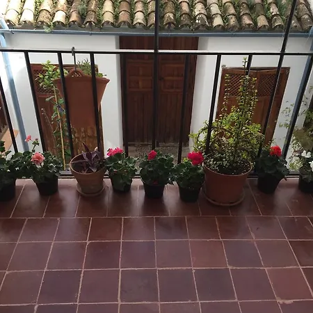 Duplex Juderia *