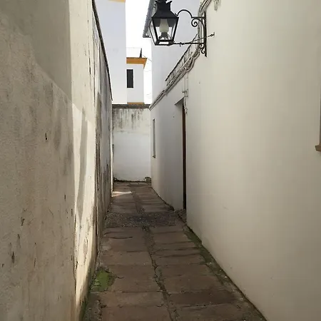 Duplex Juderia Apartment